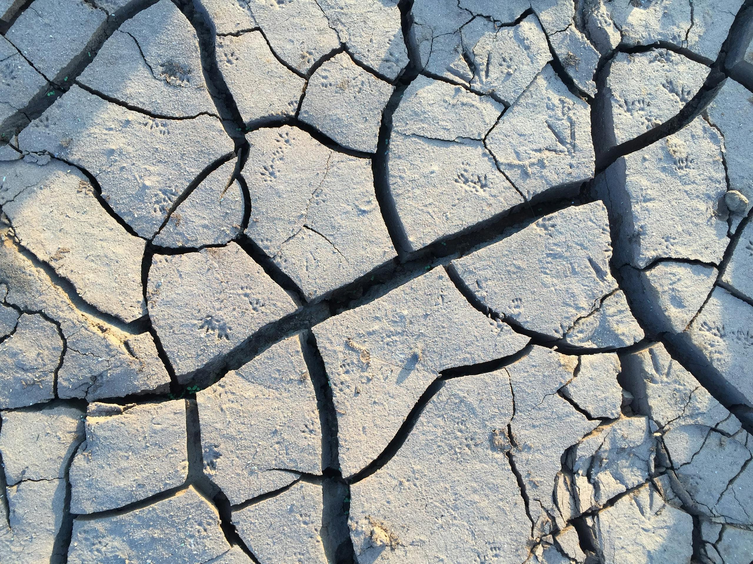 Decades-Old Earthquake Mystery Solved: How Microscopic Friction Shapes Earthquakes Close-up of cracked dry earth surface showing erosion in Dhamale Wadi, Maharashtra, India.