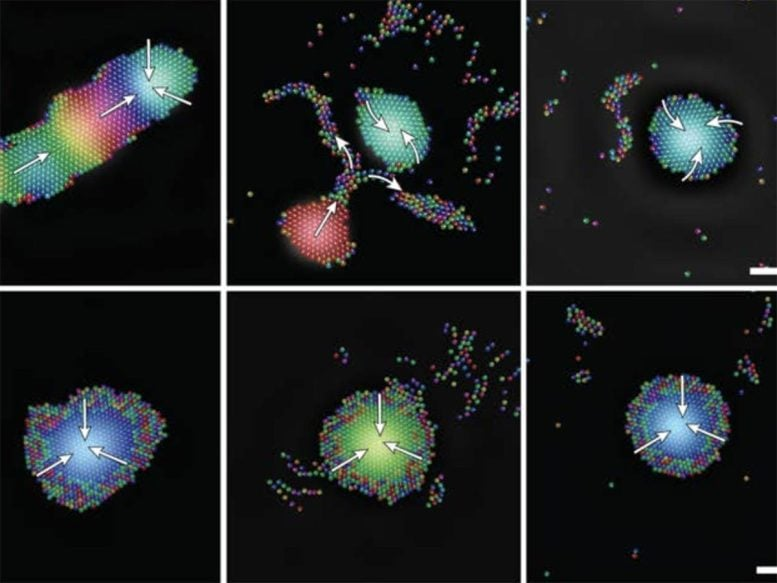 Tiny Robots That Can Swarm, Adapt, and Heal Themselves: How Sound Waves Are Powering the Next Generation of Microrobots Tiny Robots That Can Swarm, Adapt, and Heal Themselves: How Sound Waves Are Powering the Next Generation of Microrobots