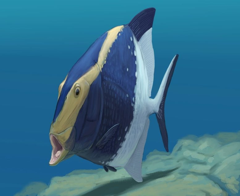 Fossil Discovery Reveals a 310-Million-Year-Old Innovation in Fish Feeding