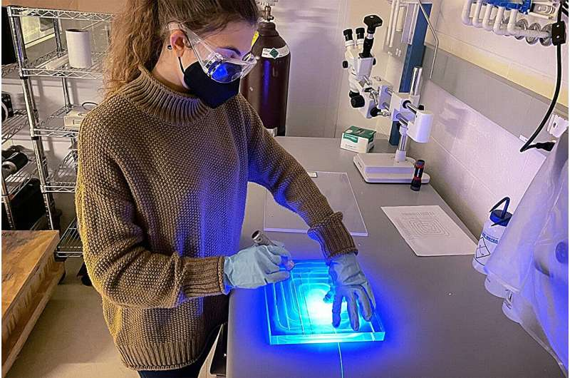 The Hunt for Neutrinoless Double Beta Decay Gets a Powerful Noise-Cancelling Upgrade The Hunt for Neutrinoless Double Beta Decay Gets a Powerful Noise-Cancelling Upgrade