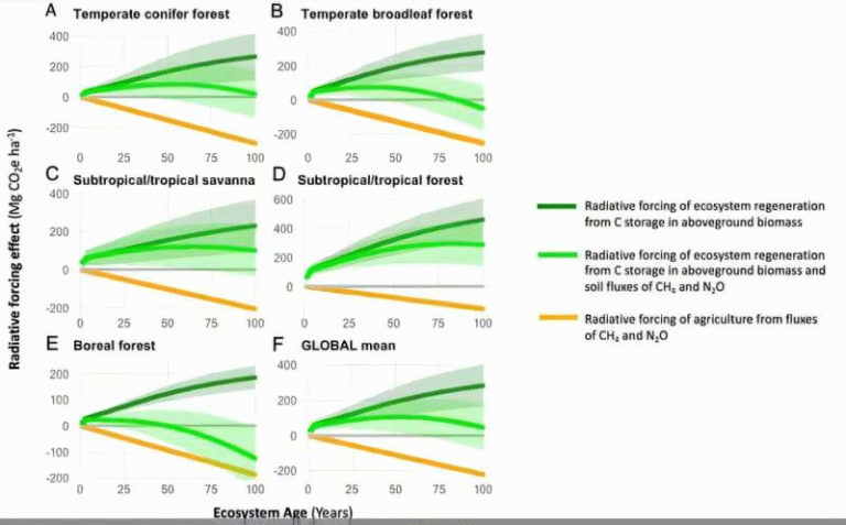 Forest Regeneration Helps the Climate—but It’s No Substitute for Cutting Fossil Fuels Forest Regeneration Helps the Climate—but It’s No Substitute for Cutting Fossil Fuels