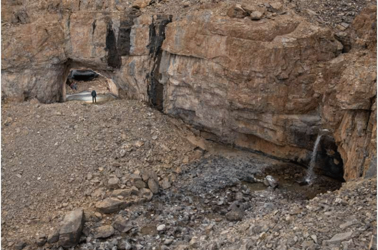 Greenland’s Hidden Caves Reveal a Warm, Lush Arctic from Millions of Years Ago Greenland’s Hidden Caves Reveal a Warm, Lush Arctic from Millions of Years Ago
