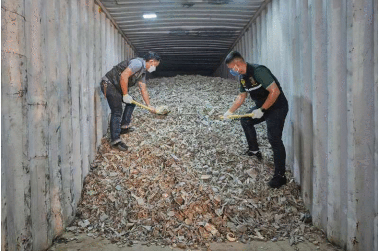 American E-Waste is Flooding Southeast Asia: A Hidden Tsunami Uncovered American E-Waste is Flooding Southeast Asia: A Hidden Tsunami Uncovered