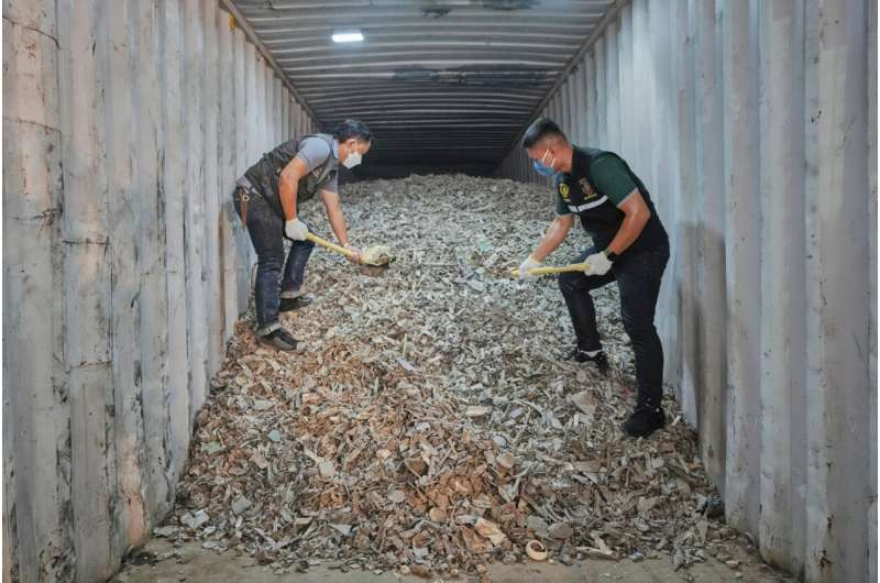 American E-Waste is Flooding Southeast Asia: A Hidden Tsunami Uncovered American E-Waste is Flooding Southeast Asia: A Hidden Tsunami Uncovered
