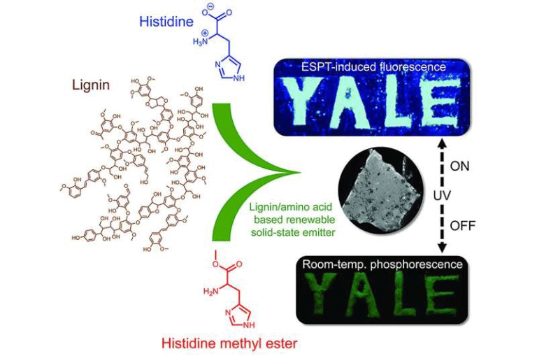 Turning Wood Waste into Light: Yale Scientists Create Eco-Friendly Photoluminescent Materials Turning Wood Waste into Light: Yale Scientists Create Eco-Friendly Photoluminescent Materials