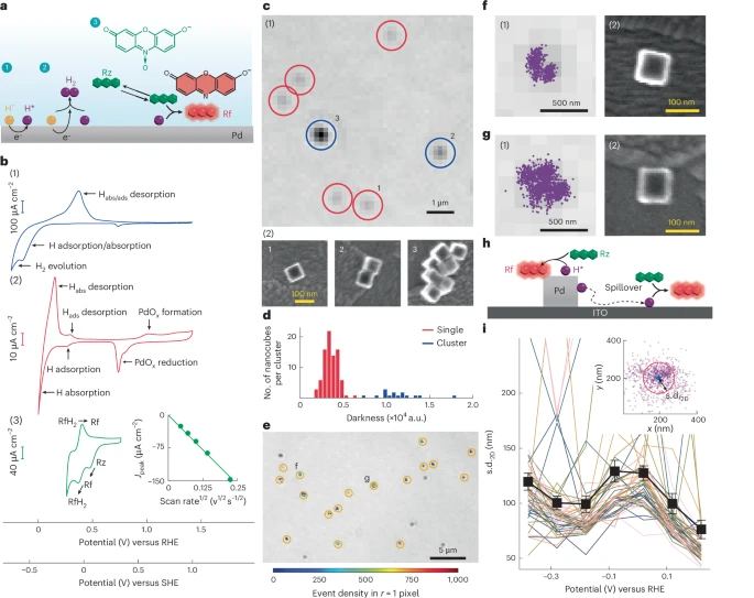 New Imaging Technique Reveals Hidden Hydrogen Intermediates That Could Supercharge Clean Energy Research New Imaging Technique Reveals Hidden Hydrogen Intermediates That Could Supercharge Clean Energy Research