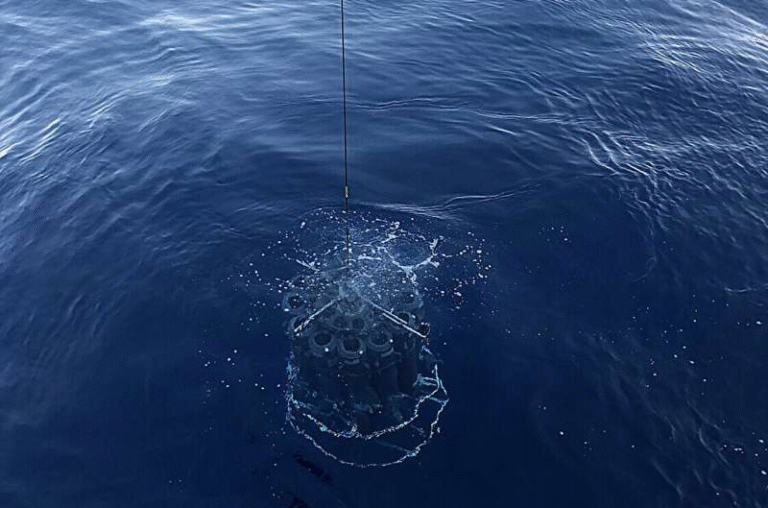 Tiny Ocean Microbes Could Transform Climate Modeling: How Marine Competition Shapes a Potent Greenhouse Gas Tiny Ocean Microbes Could Transform Climate Modeling: How Marine Competition Shapes a Potent Greenhouse Gas