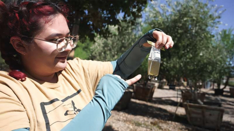 Using Field and Lab Research to Pinpoint Mosquito Hot Spots in Arizona Using Field and Lab Research to Pinpoint Mosquito Hot Spots in Arizona