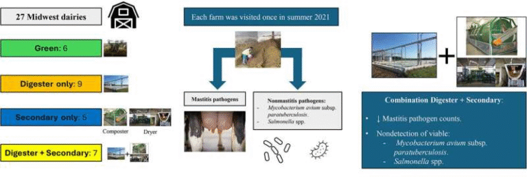 Proper Processing of Recycled Manure Solids Can Greatly Reduce Pathogen Risks in Dairy Farm Bedding Proper Processing of Recycled Manure Solids Can Greatly Reduce Pathogen Risks in Dairy Farm Bedding