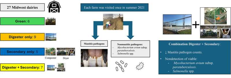 Proper Processing of Recycled Manure Solids Can Greatly Reduce Pathogen Risks in Dairy Farm Bedding