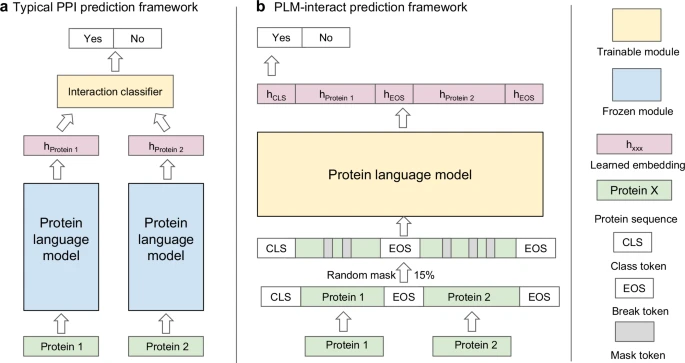Supercomputer-Powered AI Learns to Decode the Language of Biomolecules Supercomputer-Powered AI Learns to Decode the Language of Biomolecules