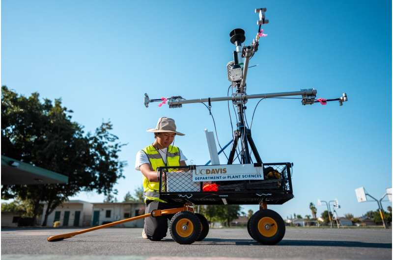 California Schools Are Rapidly Losing Tree Canopy — Here’s What the New UC Davis Study Reveals California Schools Are Rapidly Losing Tree Canopy — Here’s What the New UC Davis Study Reveals