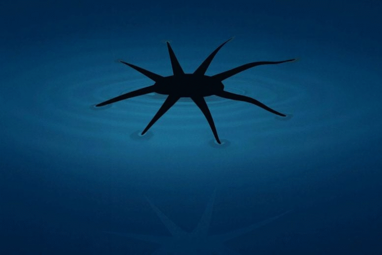 Engineers Develop HydroSpread: A New Way to Build Soft Robots That Walk on Water
