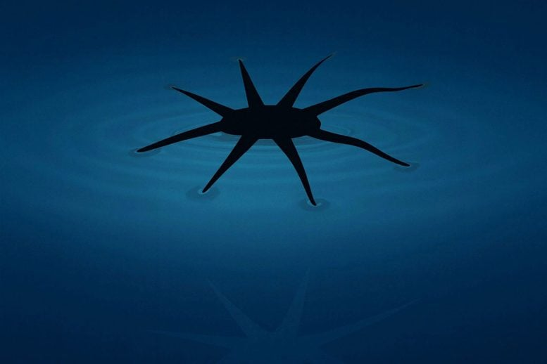 Engineers Develop HydroSpread: A New Way to Build Soft Robots That Walk on Water