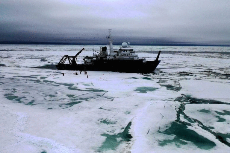 Tiny Arctic Diatoms That Glide Through Ice at Record-Low Temperatures