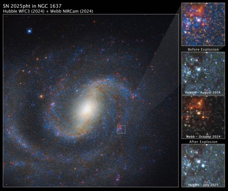 Webb Telescope Spots a Red Supergiant Star Moments Before It Exploded — Hidden Beneath Cosmic Dust