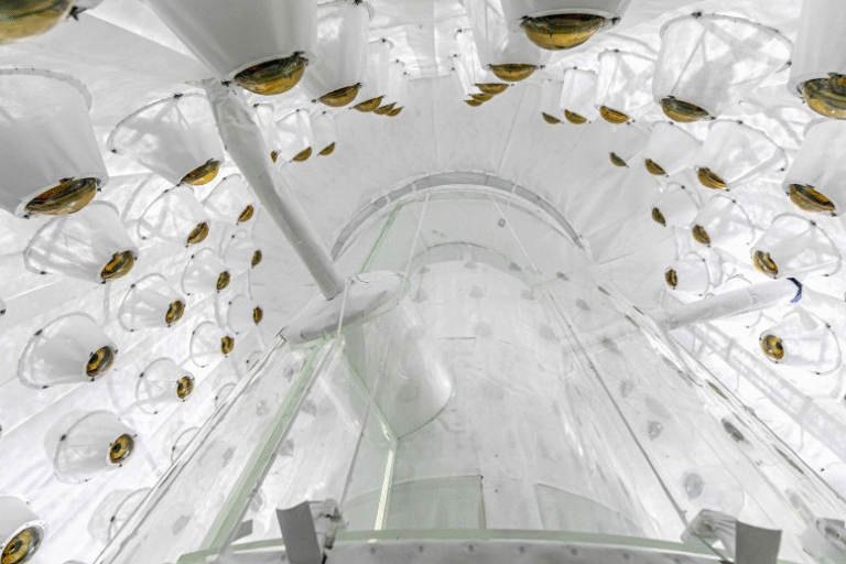Scientists Push the Limits of the Universe’s Darkest Mystery: The LUX-ZEPLIN Detector’s Record-Breaking Hunt for Dark Matter