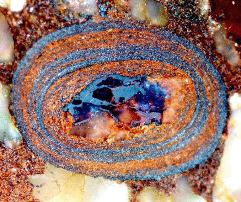 Tiny Iron Stones Reveal a New Story of Earth’s First Life and Its Carbon Secrets