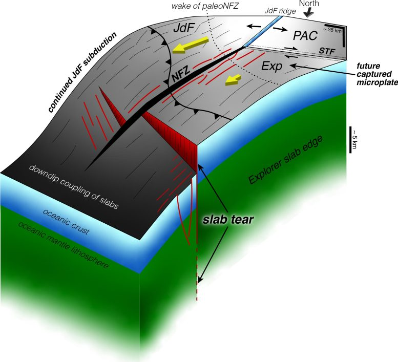 Earth’s Crust Is Splitting Apart off the Pacific Northwest: Scientists Catch a Subduction Zone in the Act of Dying Earth’s Crust Is Splitting Apart off the Pacific Northwest: Scientists Catch a Subduction Zone in the Act of Dying
