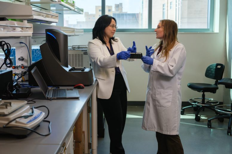 A High-Fat Diet Might Help Protect the Brain: University of Missouri Study Explores How Keto Could Slow Alzheimer’s Risk A High-Fat Diet Might Help Protect the Brain: University of Missouri Study Explores How Keto Could Slow Alzheimer’s Risk