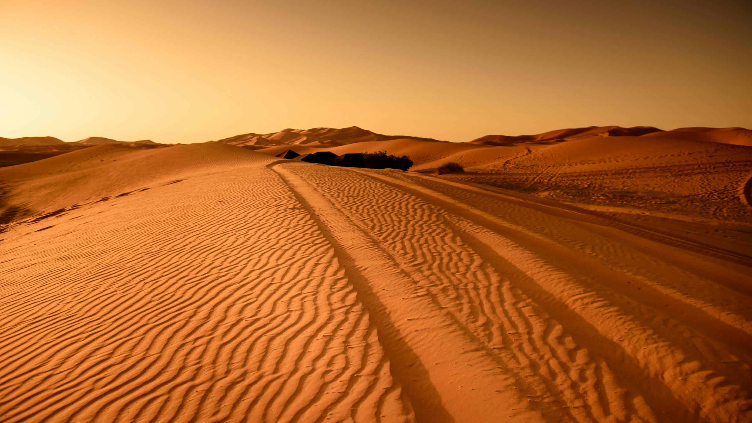 New AI Technique Calculates the Force Acting on Every Grain of Sand in a Dune Serene desert landscape with golden sand dunes at sunset, perfect for travel and nature themes.
