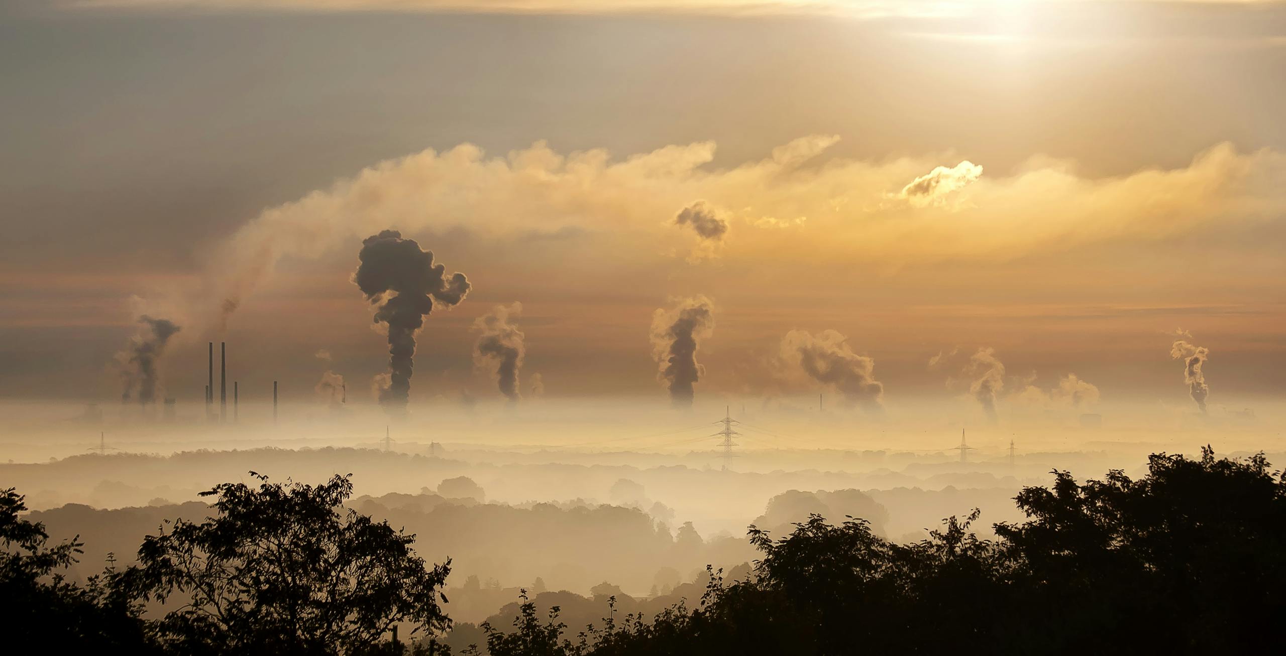 Revealing the “Carbon Hoofprint” of Meat Consumption in American Cities Smoke rising from factory chimneys at sunrise, symbolizing pollution and environmental impact.