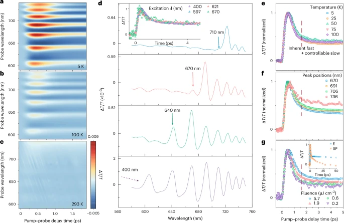 Perovskite Films Show Ultrafast Quantum Light Emission in Cambridge Study