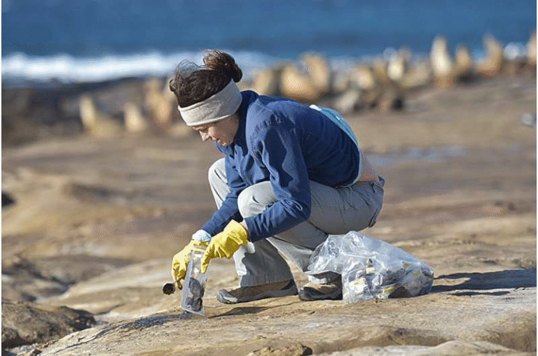 Marine Predators Struggle with Uneven Nutrition as Prey Quality Varies Widely Across the Ocean