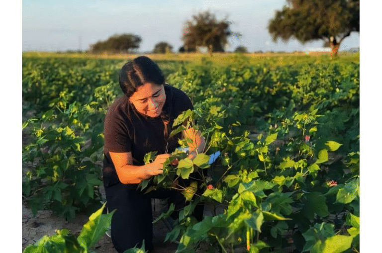 Genomic Selection Emerges as a Key Technology for the Future of Global Agriculture