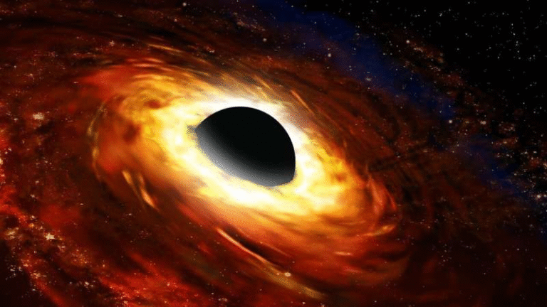 Simulations Show the Early Universe Helped Black Holes Grow Fast but Only for a Short Time