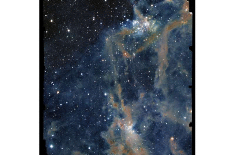 Euclid Telescope Reveals Hidden Stars in Orion’s Dark Cloud LDN 1641