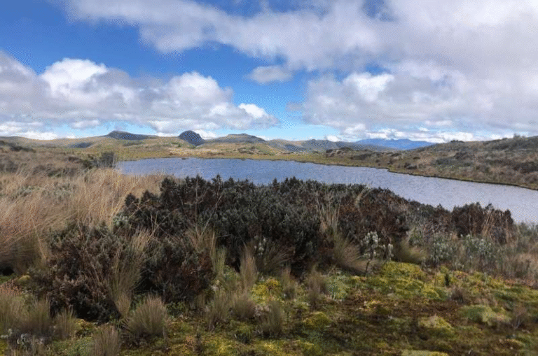 Tiny High-Altitude Ponds in the Andes Could Be Major Hidden Contributors to Climate Change