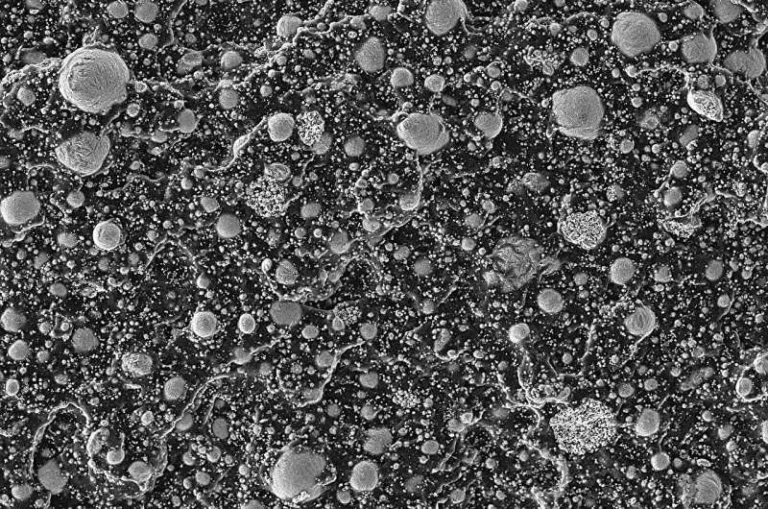 Recyclable Liquid-Metal Composite Paves the Way for Flexible and Reconfigurable Electronics