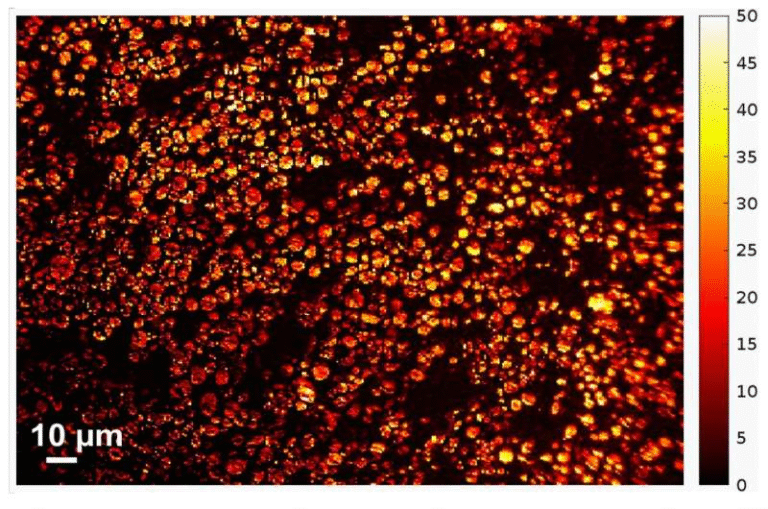 How Optical Brightness of Battery Particles Reveals the True State of Charge