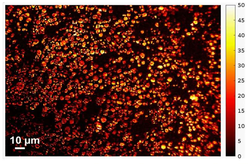 How Optical Brightness of Battery Particles Reveals the True State of Charge