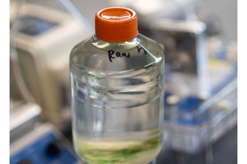 Reclaimed Wastewater Shows Strong Potential for Affordable and Clean Hydrogen Production