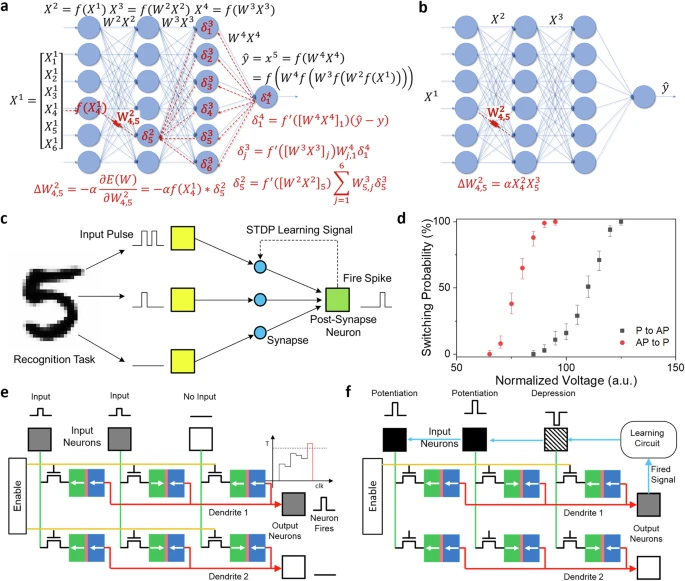 Neuromorphic Computer Prototype Learns Patterns With Far Fewer Computations Than Traditional AI