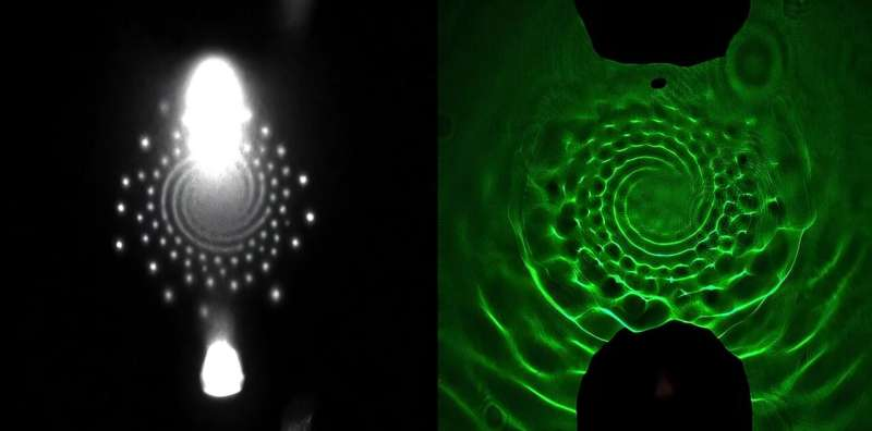 Self-Organizing Plasma Patterns Show New Promise for Destroying PFAS in Water