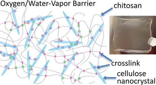 Georgia Tech’s New Bio-Based Film Shows Plastic-Like Protection Against Moisture and Oxygen