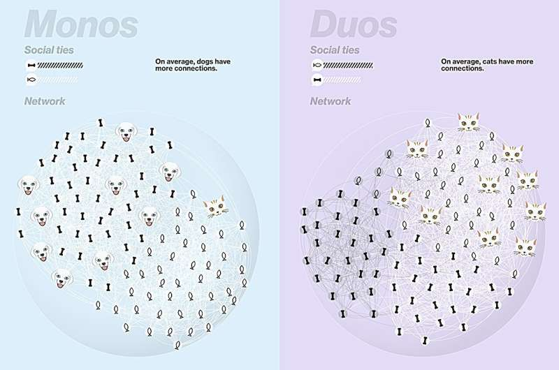 How Overlapping Disadvantages Shape Social Isolation and Unequal Social Networks