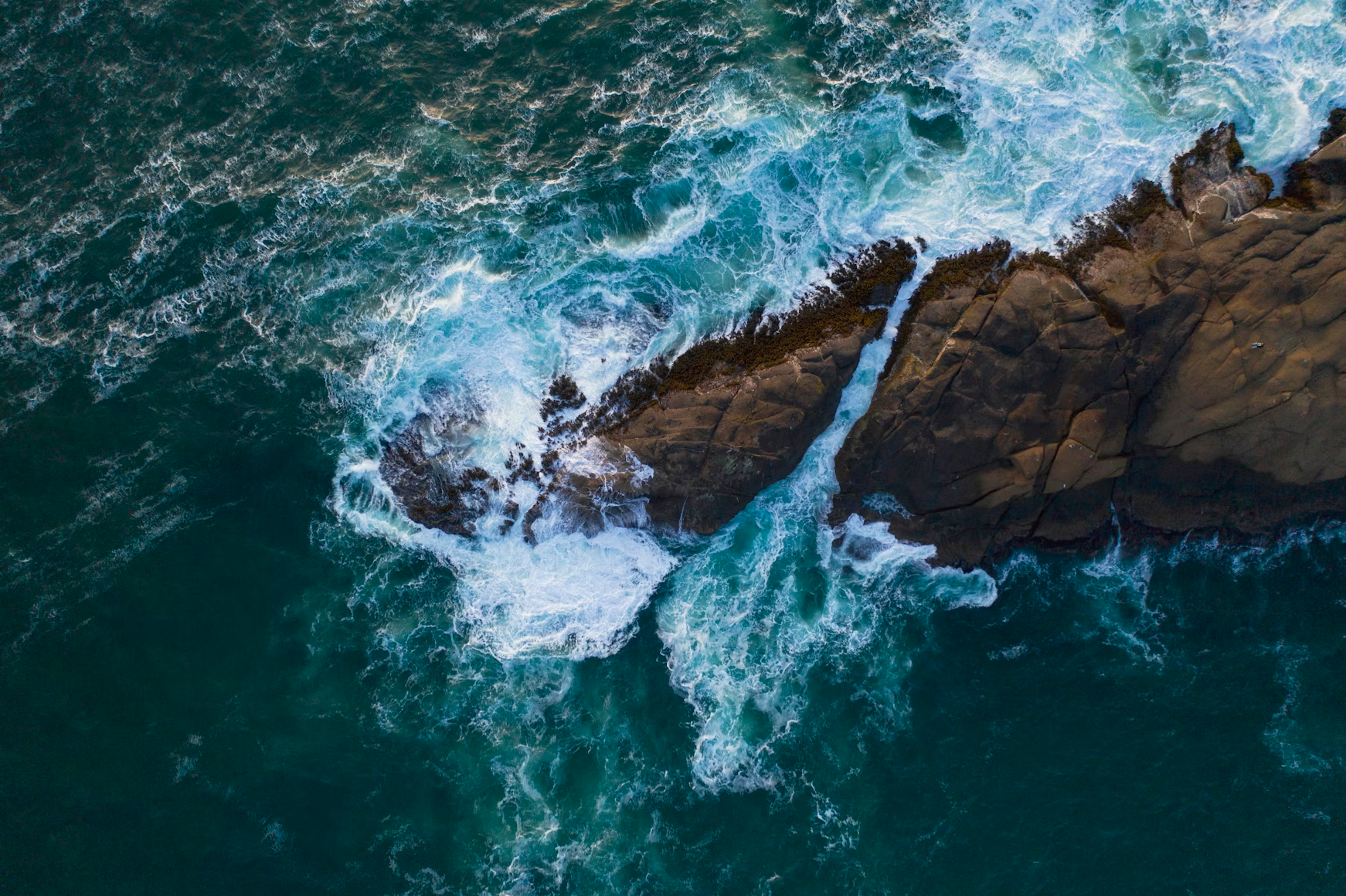 A New Framework Is Helping Coastal Planners Understand the Real Costs of Rising Seas