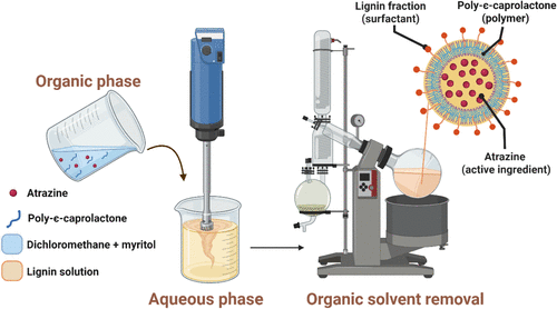 Lignin Makes Herbicide Nanoparticles More Stable and Effective for Greener Farming
