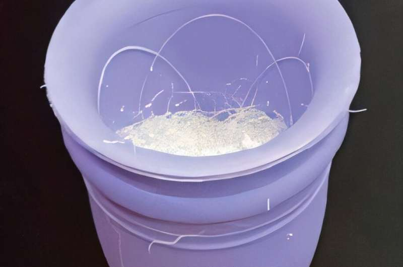 Self-Cleaning Menstrual Cup With Biodegradable Absorbent Tablet Could Make Period Care Easier and More Sustainable