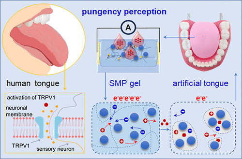 Artificial Tongue Made with Milk Proteins Can Measure How Spicy Your Food Really Is