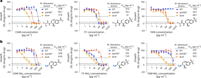 Scientists Turn Bacteria’s Own Genes Against It to Tackle Antibiotic Resistance