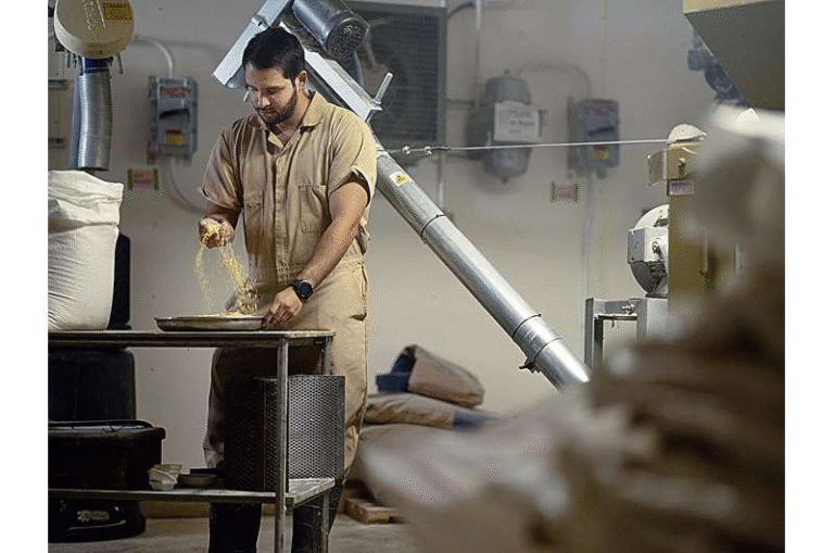 Penn State Researchers Find Amino Acid Levels Hold the Key to Consistent Chicken Feed Quality