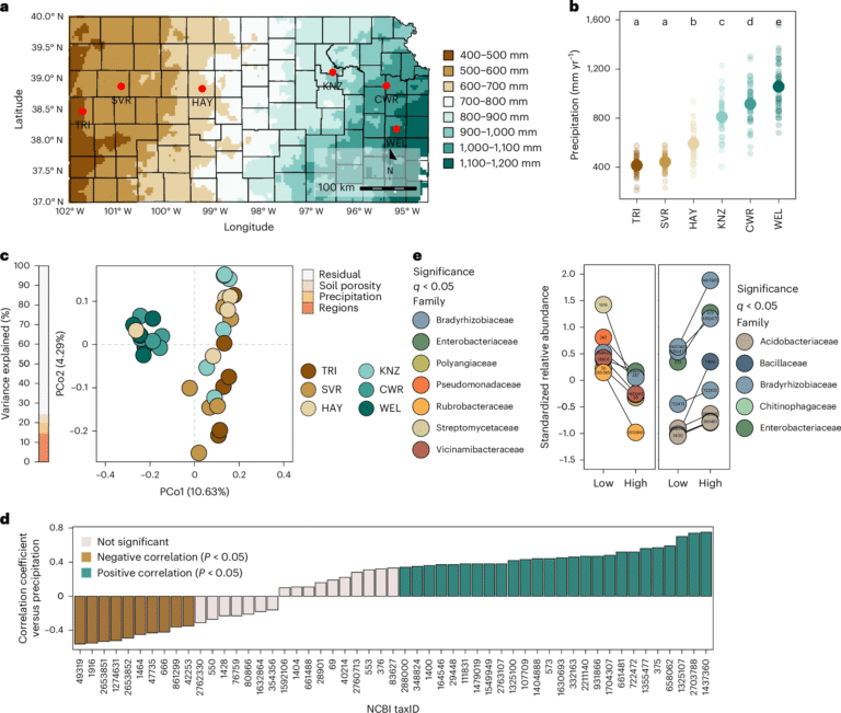 Kansas Researchers Discover How Microbial Memory in Soil Shapes Plant Growth and Drought Resilience
