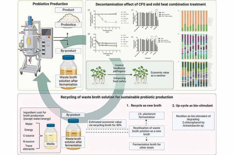 Fresh Produce May Soon Be Safer Thanks to a New Sanitizer Made From Upcycled Fermentation Waste