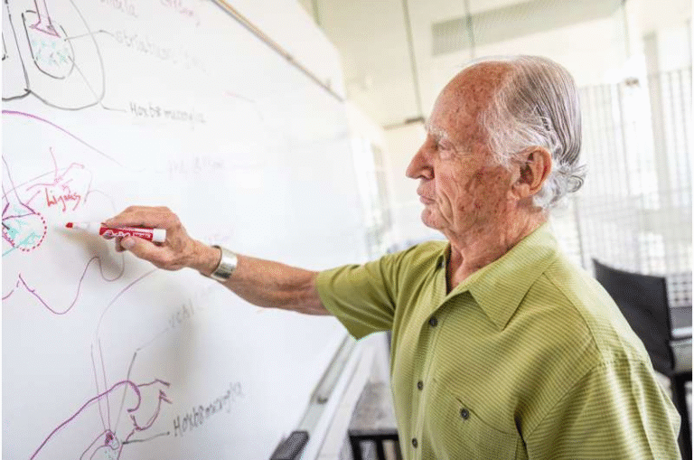 Researchers Identify Two Types of Brain Immune Cells That Can Drive or Prevent Anxiety in Mice