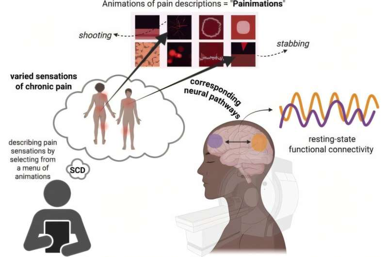 New Brain-Imaging Research Shows How a Digital App Is Transforming the Understanding of Sickle Cell Disease Pain